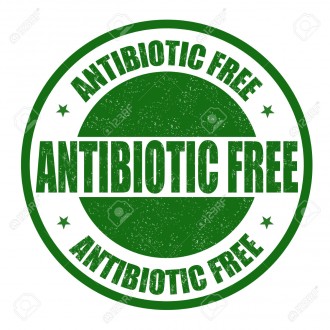 Antibiotic-Free icon